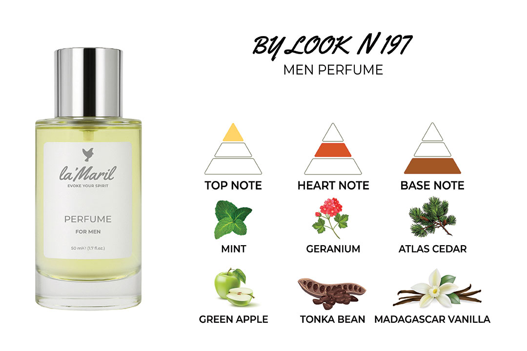 by-look-lamaril-Türkiye'nin-en-iyi-erkek-parfümü Mint, Green Apple, Lemon Tonka Bean, Ambroxan, Geranium Madagascar Vanilla, Virginian Cedar, Atlas Cedar, Vetiver, Oakmoss lamaril-Türkiye'nin-en-iyi-erkek-parfümü